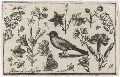Blumen, Schmetterling und ein Vogel
