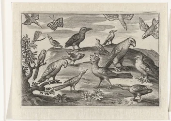 Hopfen und andere Vögel