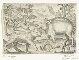 Leopard, Wildschwein und Hunde