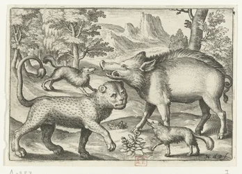 Leopard, Wildschwein und zwei Hunde