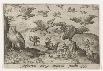 Eule mit Beute, bedrängt von anderen Vögeln