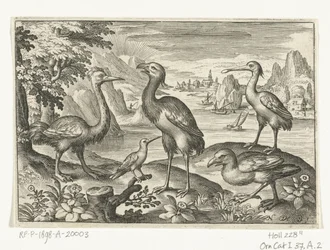 Fünf Vögel einschließlich Löffler (Vögel und Insekten)