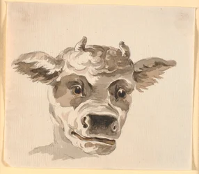 Kopf des Minotaurus