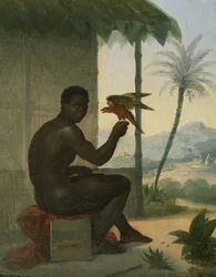 Schwarzer Brasilianer mit tropischem Vogel