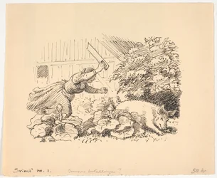 Das Schwein