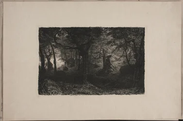 Der Trollwald