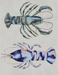 Blaue Hummer Aquarell