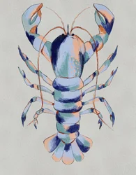 Bunter blauer Hummer