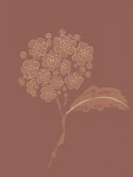 Erdige botanische Blüte