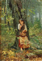 Tief im Wald