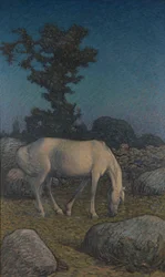 Weißes Pferd in der Dämmerung