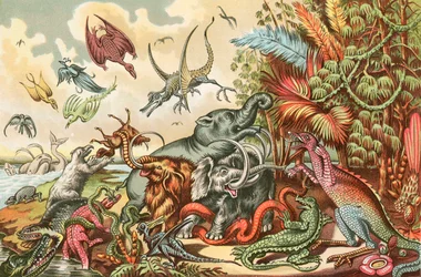 Prähistorische Tiere und Reptilien