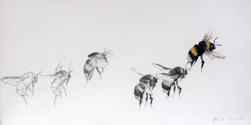 Flugmuster, 2014