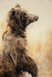 Grizzlybär 2, 2002