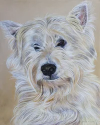 Hamish, 2011