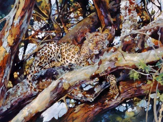 Kenianischer Leopard