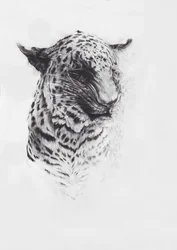 Leopard 2, 2004