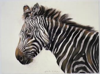 Zebra, 2002