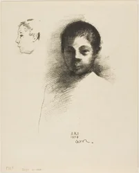 Arï