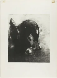 Gefangener Pegasus