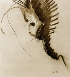 Der Drachen