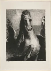 Der Flügel