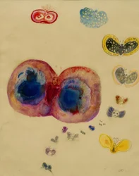 Schmetterlinge