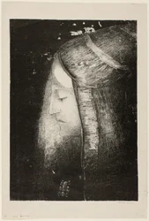 Profil des Lichts