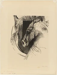 Der Hengst