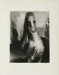 Der Flügel