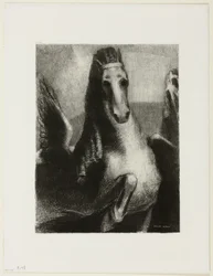 Der Flügel