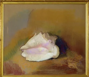Die Muschel