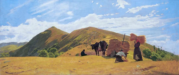 Getreideernte in den Bergen von San Marcello