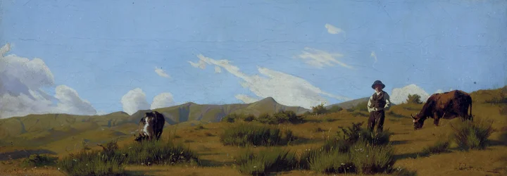 Weiden auf den Höhen