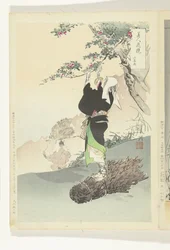 Frau pflückt Wildkirschen