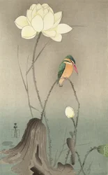 Ein Eisvogel und eine Lotusblume, ca. 1910