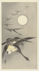 Gänse bei Vollmond
