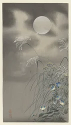 Gräser und Blumen bei Vollmond