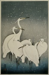 Gruppe von Reihern