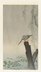 Eisvogel auf Baumstumpf