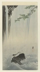 Japanische Bachstelze am Wasserfall