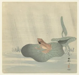 Frosch auf Lotusblatt