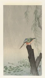 Eisvogel auf einem Baumstumpf