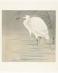 Kleiner Silberreiher