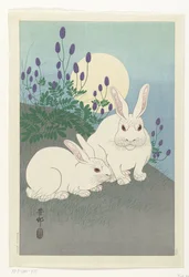 Kaninchen bei Vollmond