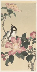 Kohlmeise auf einem Ast mit rosa Blumen