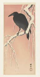 Krähe auf verschneitem Ast