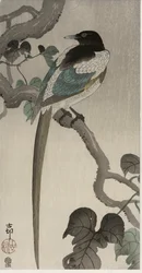 Elster auf einem Pauwlonia-Zweig (Farbholzschnitt)