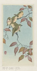 Kleine Vögel auf einem Zweig