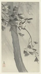 Schwanzmeise im Sturm